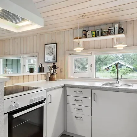 Bl1476-blokhus-risen-1 Prázdninový dům *